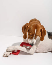 Bâton en caoutchouc pour chien