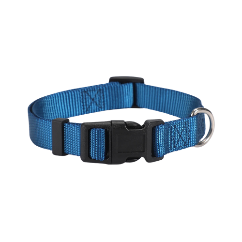 Collier pour chien - Classique Bleu