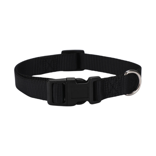 Collier pour chien - Classique Noir