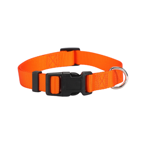 Collier pour chien - Classique Orange