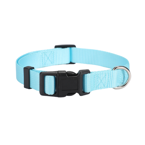 Collier pour chien - Classique Bleu ciel