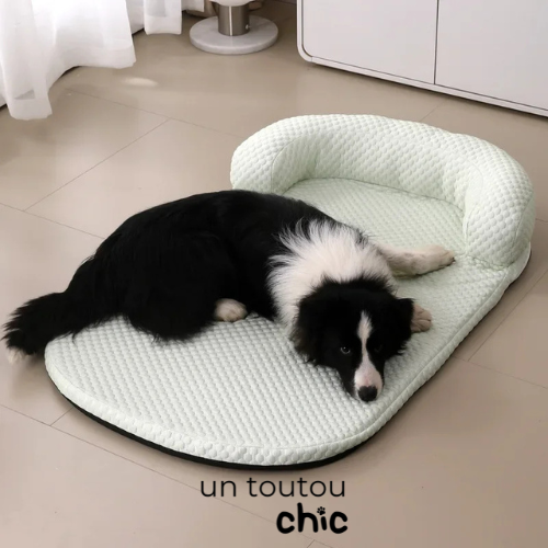 Panier pour chien - Vert