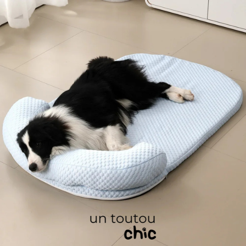 Panier pour chien - Bleu