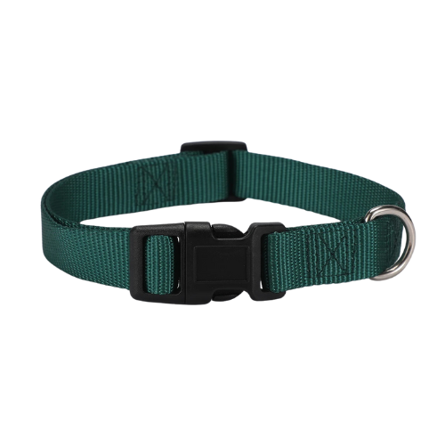 Collier pour chien - Classique Vert