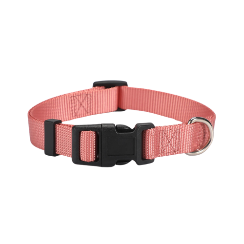 Collier pour chien - Classique Rose