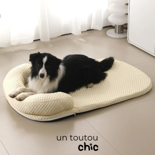 Panier pour chien - Jaune