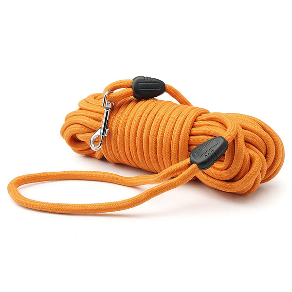 Laisse longue pour chien - Orange