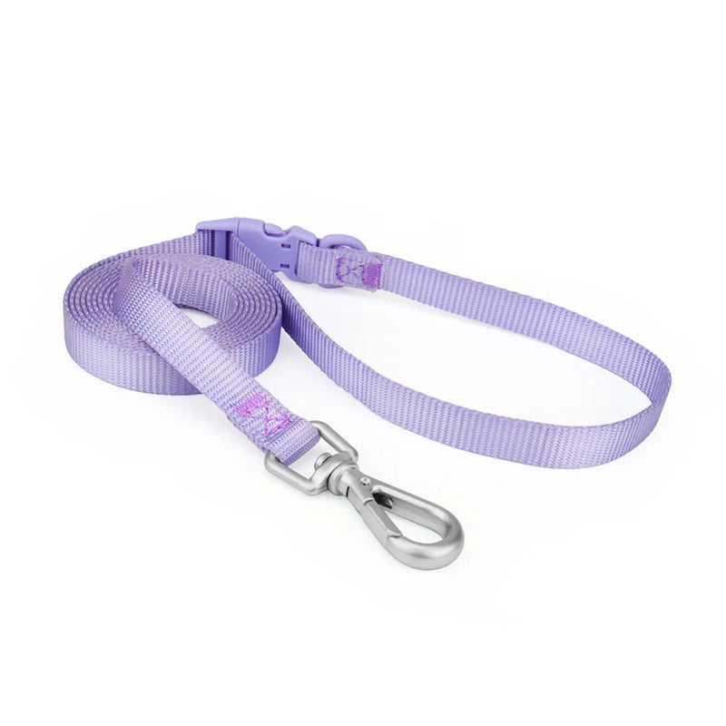 Laisse pour chien - Classique Violet