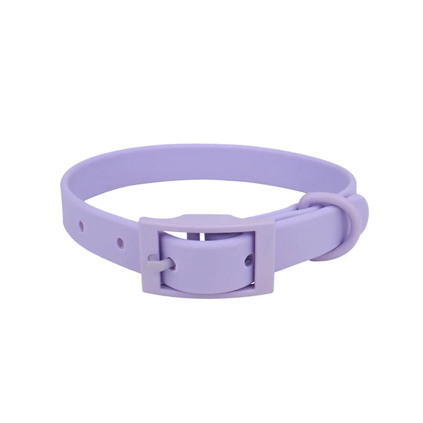 Collier pour chien - Violet