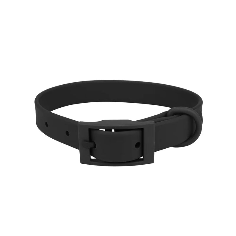 Collier pour chien - Noir