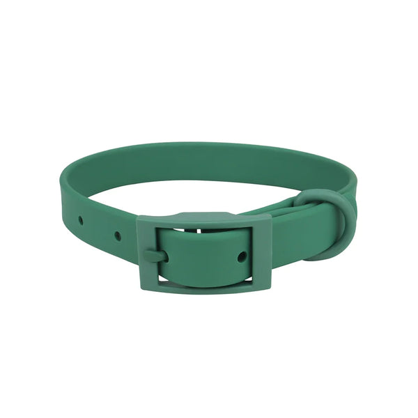 Collier pour chien - Vert