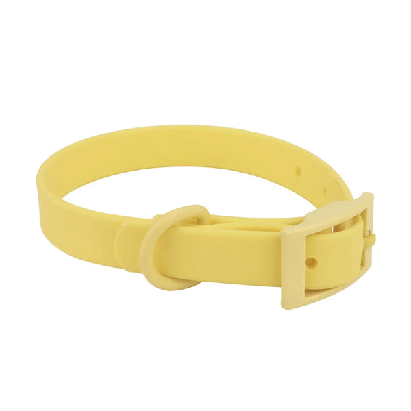 Collier pour chien - Jaune