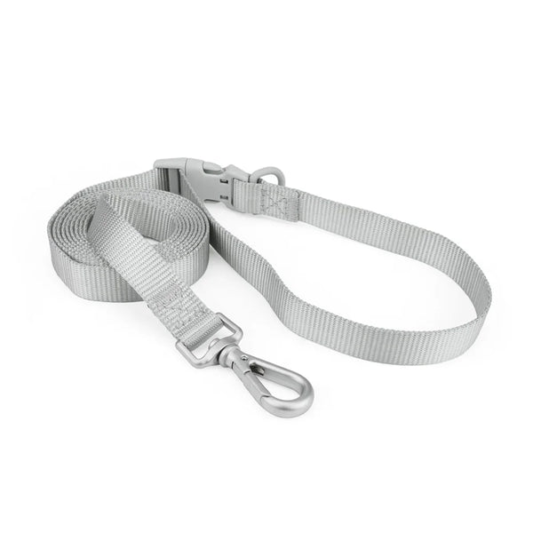 Laisse pour chien - Classique Gris