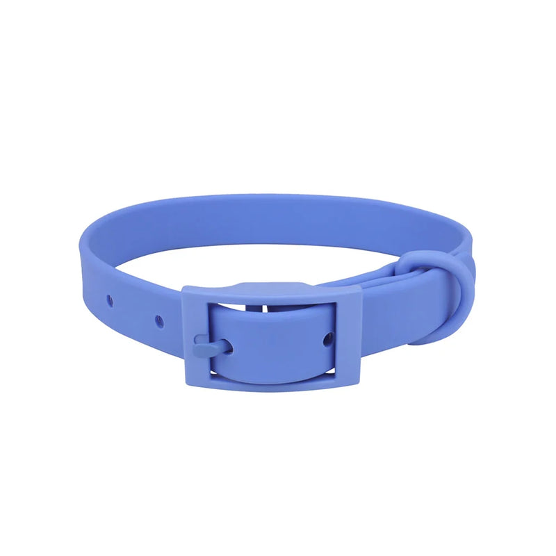 Collier pour chien - Bleu