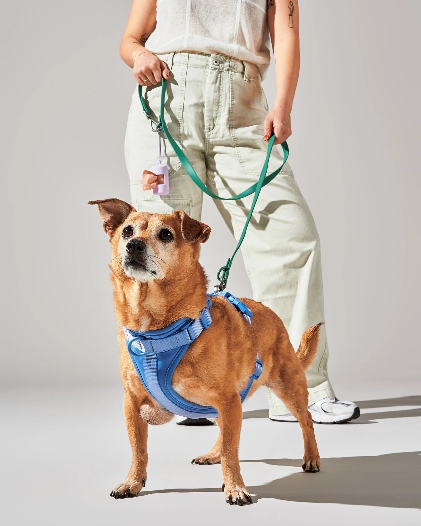 WO_VM_Harness_Moonstone_Leash_Spruce_PBC_Lilac_MixandMatchCampaign_01_2x3_Web-2_jpg.webp