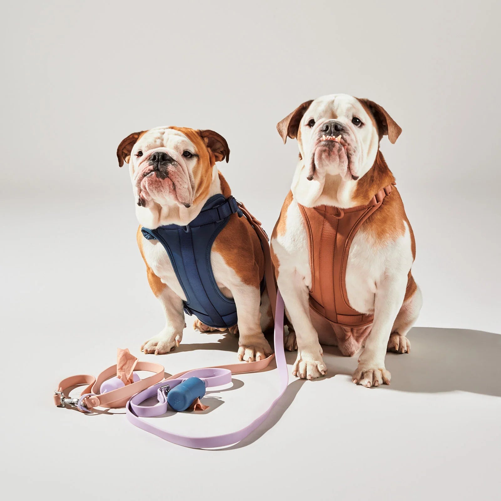 WO_VM_Harness_Navy_Cocoa_Leash_Blush_Lilac_PBC_Navy_Lilac_MixandMatchCampaign_02_2x3_Web-2_b8d40032-edbd-46dd-93c4-cbb8722649b7_jpg.webp