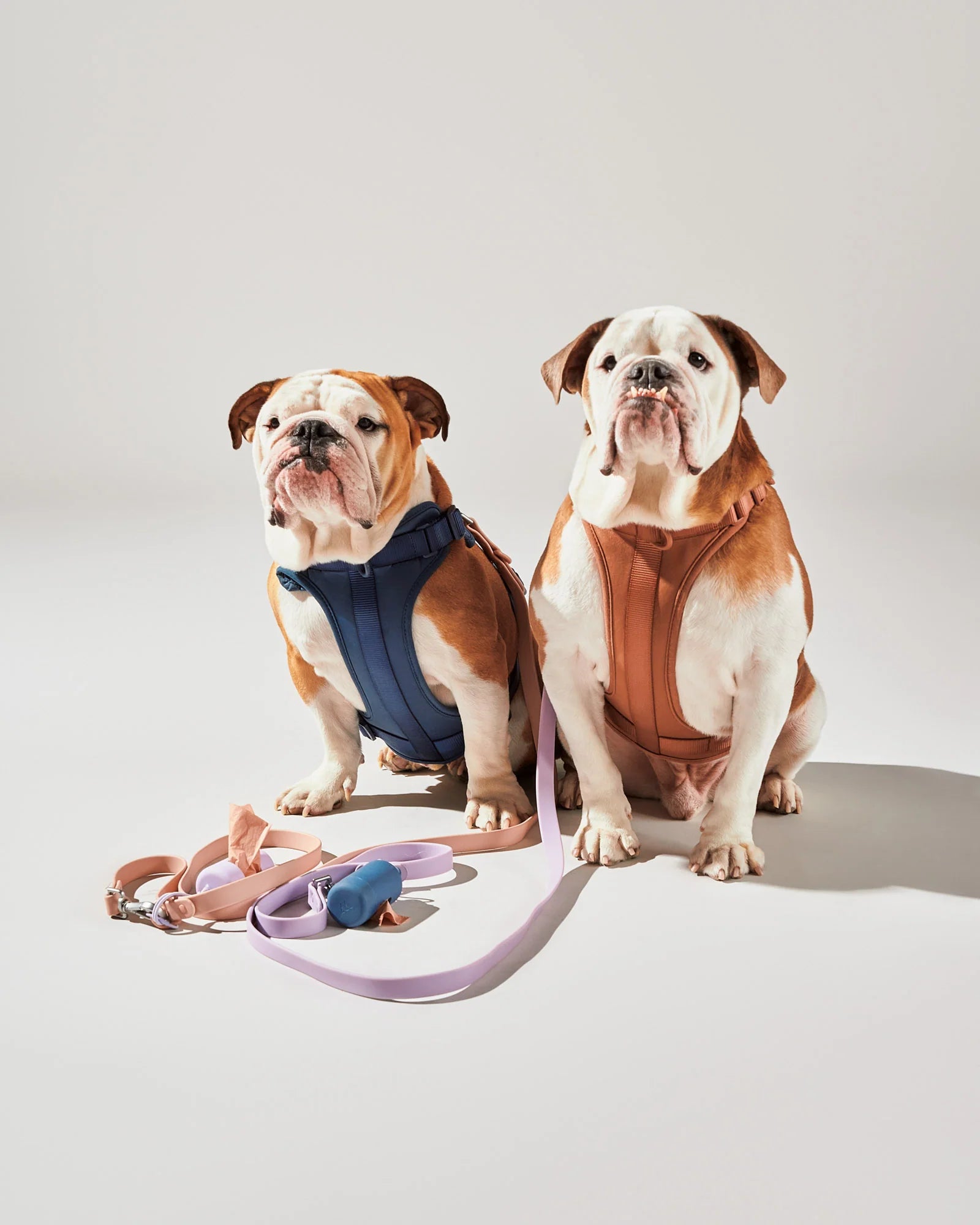 WO_VM_Harness_Navy_Cocoa_Leash_Blush_Lilac_PBC_Navy_Lilac_MixandMatchCampaign_02_2x3_Web-2_b8d40032-edbd-46dd-93c4-cbb8722649b7_jpg.webp