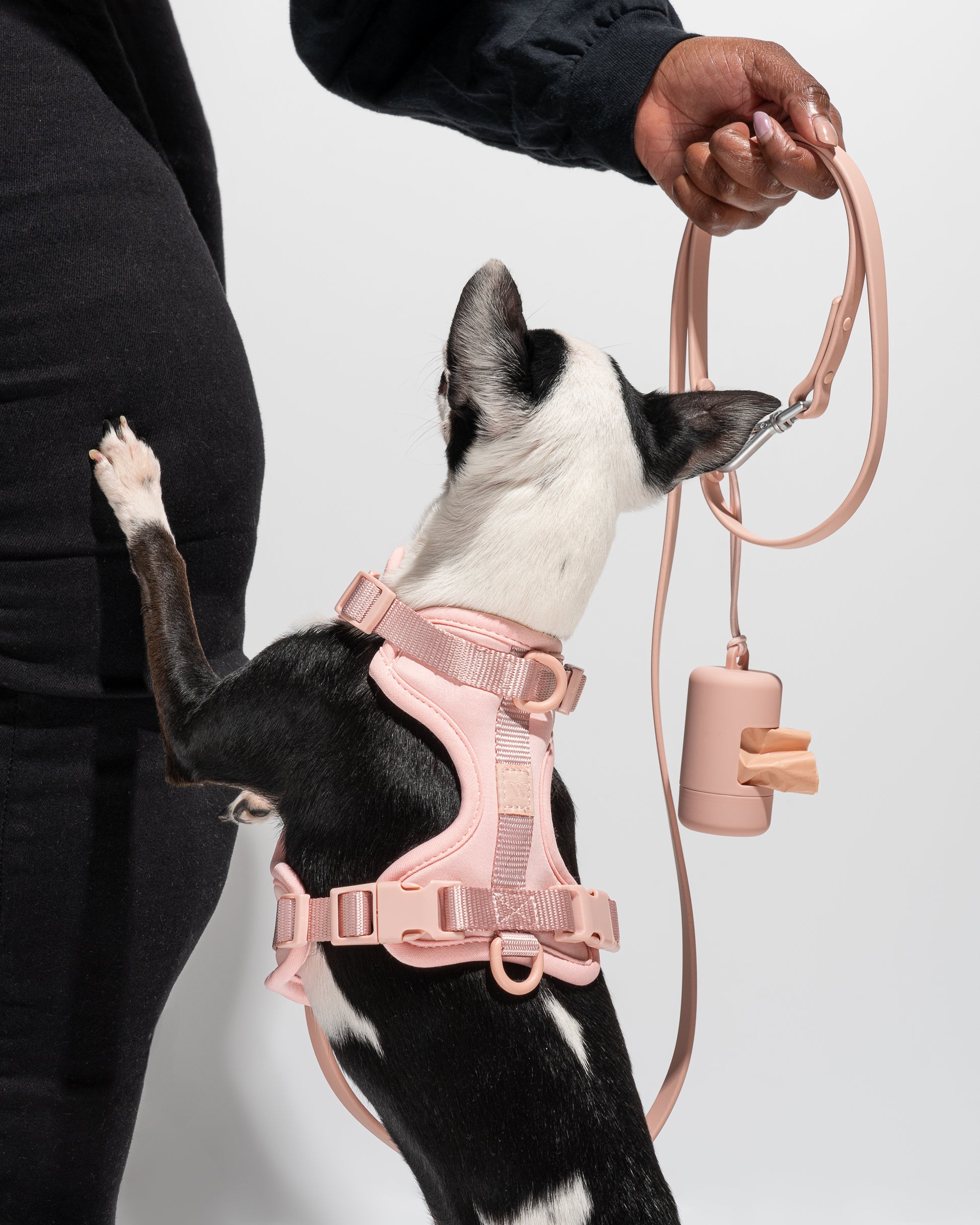 Le Kit par Un Toutou Chic®