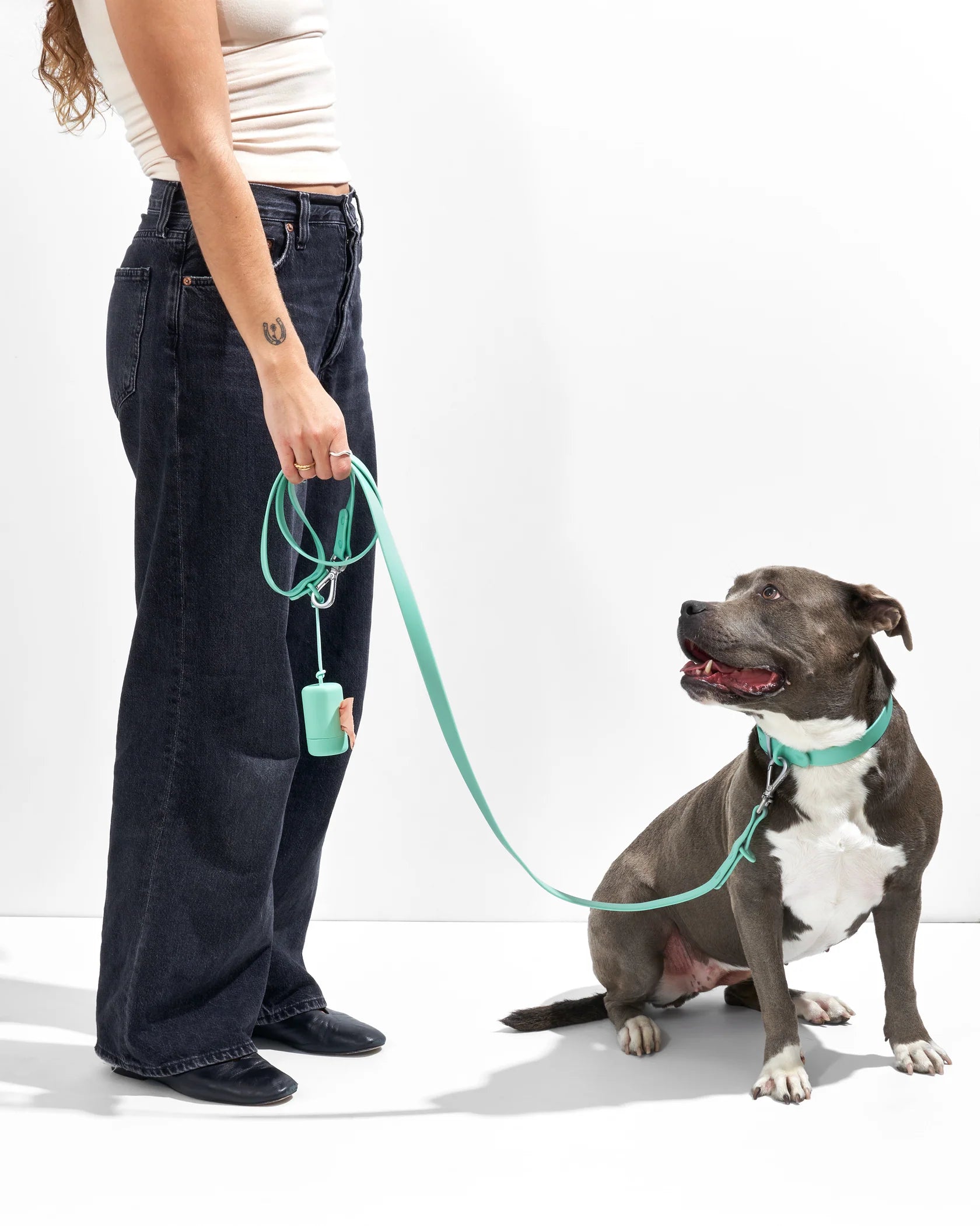 Collier pour chien