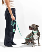 Collier pour chien